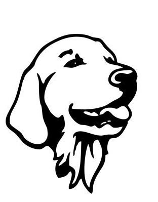 312x399 Image Result For Golden Retriever Stencil Crafts Dog Car, Dog