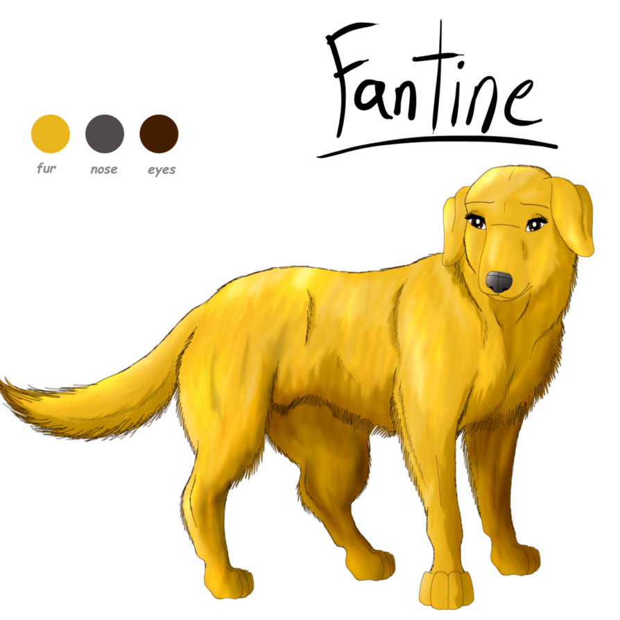 894x894 Mammal Drawing Golden Retriever, Picture