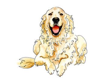 340x270 Drawn Golden Retriever Happy Friday