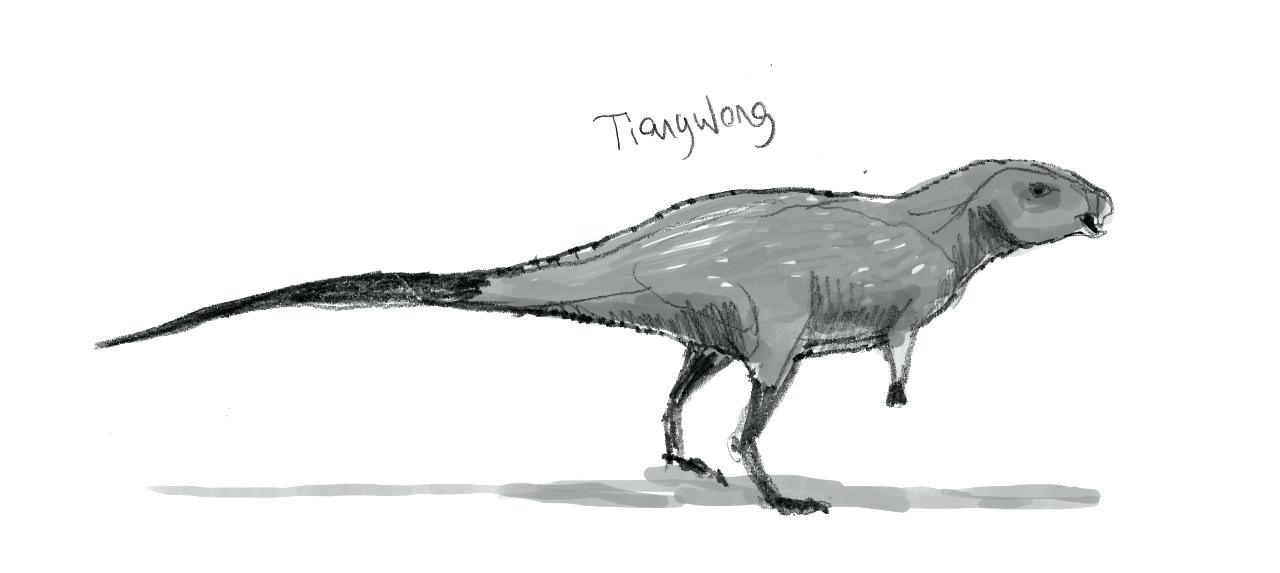 1280x573 sketches of dinosaurs sketches dinosaurs