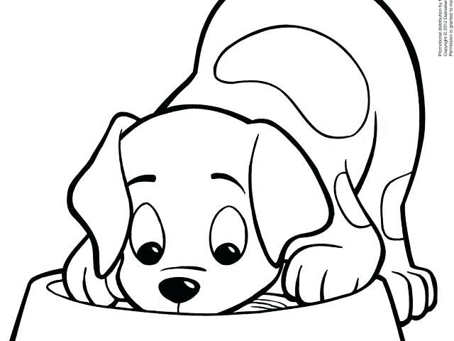640x480 Golden Retriever Coloring Pages