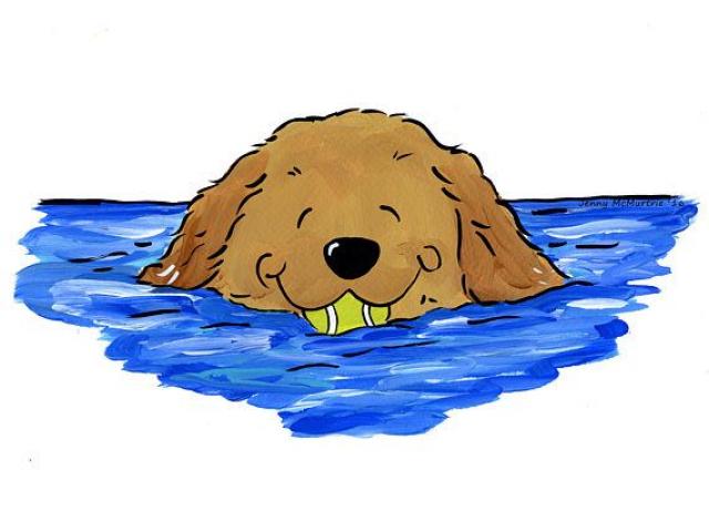 640x480 Golden Retriever Clipart Group Puppy