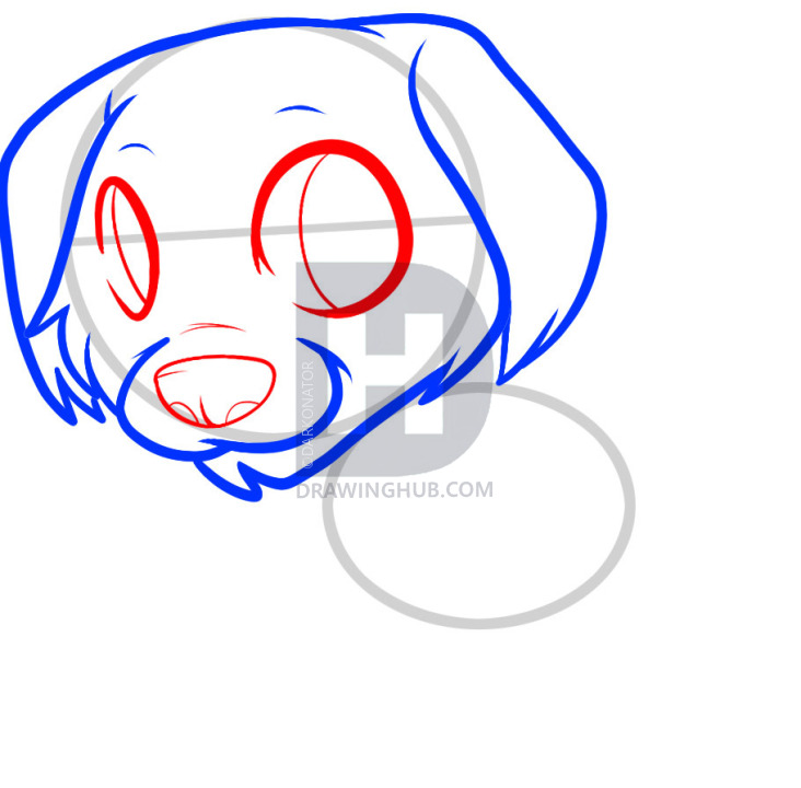 732x720 how to draw a golden retriever puppy, golden retriever, step