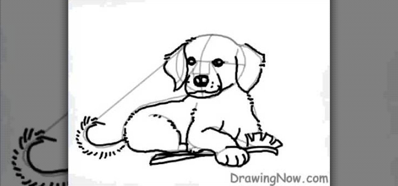 1280x600 How To Draw A Cartoon Golden Retriever Puppy Dog Mini Me Dogs