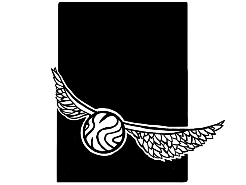 800x600 golden snitch