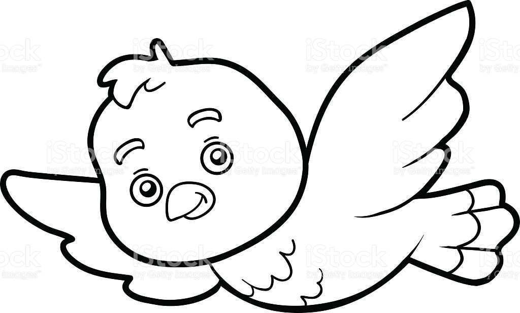 1024x616 Golden State Warriors Logo Coloring