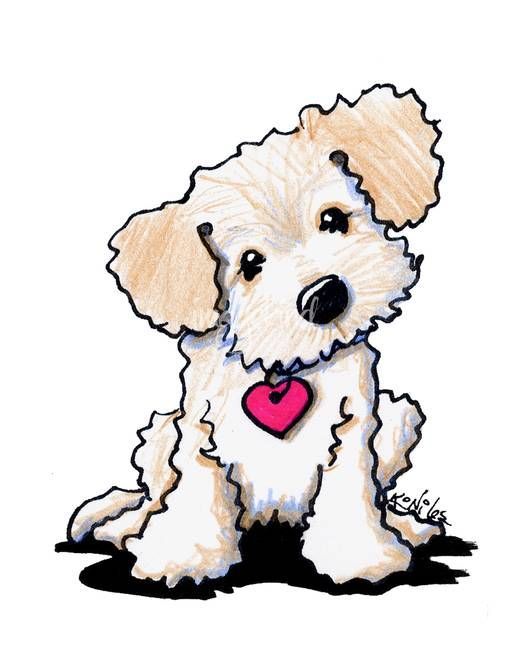 Goldendoodle Drawing Free Download On ClipArtMag