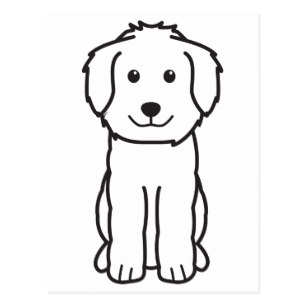 307x307 goldendoodle postcards zazzle