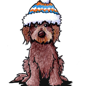 300x300 goldendoodle puppy drawing