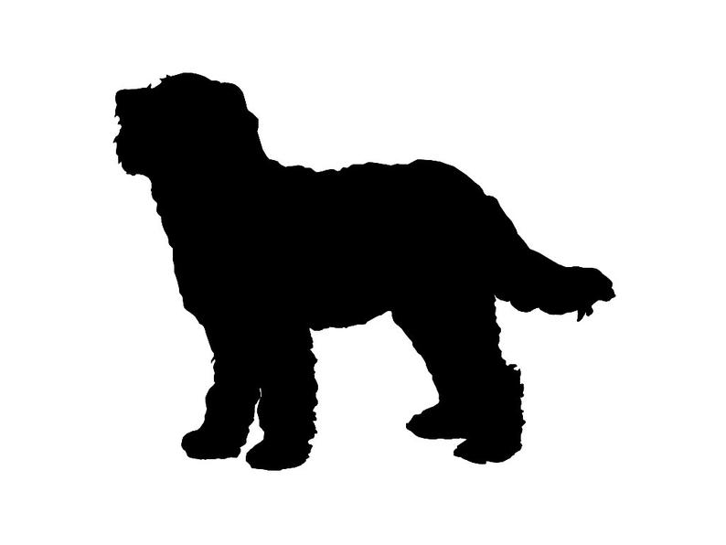 794x596 huge collection of 'goldendoodle silhouette' download more than