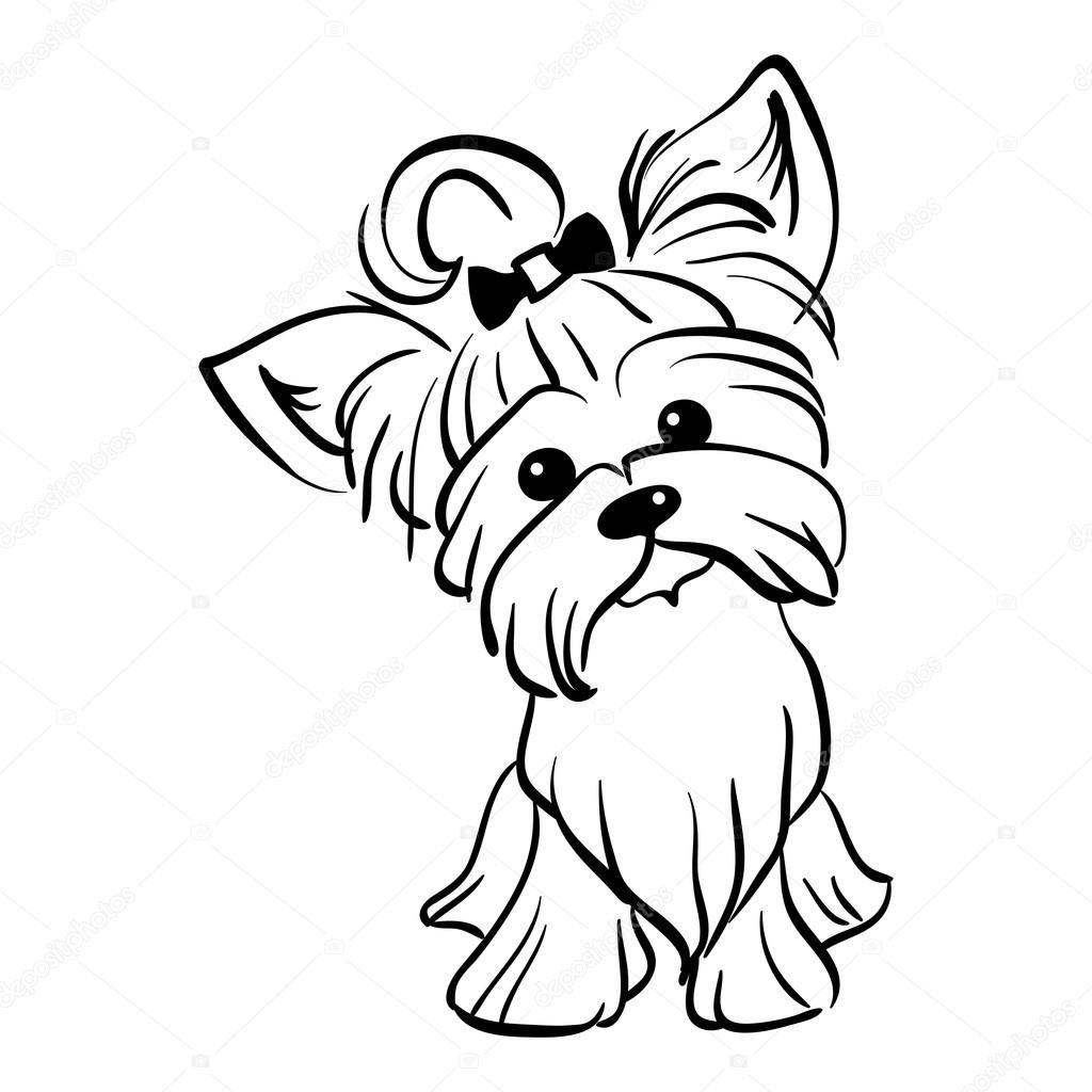 1024x1024 goldendoodle drawing cartoon for free download