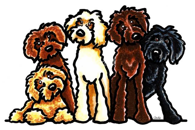 Collection of Goldendoodle clipart | Free download best Goldendoodle