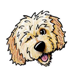 Goldendoodle Drawing Free Download On ClipArtMag