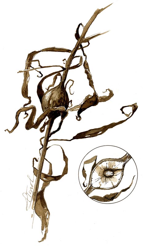 467x800 Goldenrod Golf Balls The Outside Story