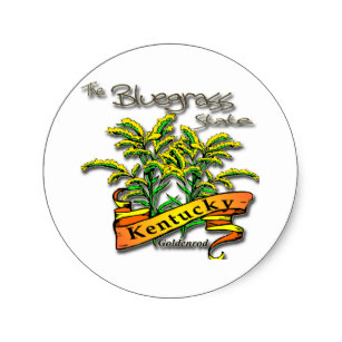 307x307 Goldenrod Stickers Zazzle
