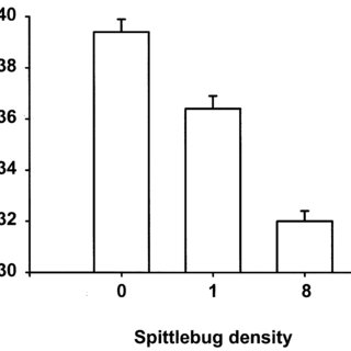 320x320 Mean Goldenrod Ramet Heights Immediately Preceding Stem