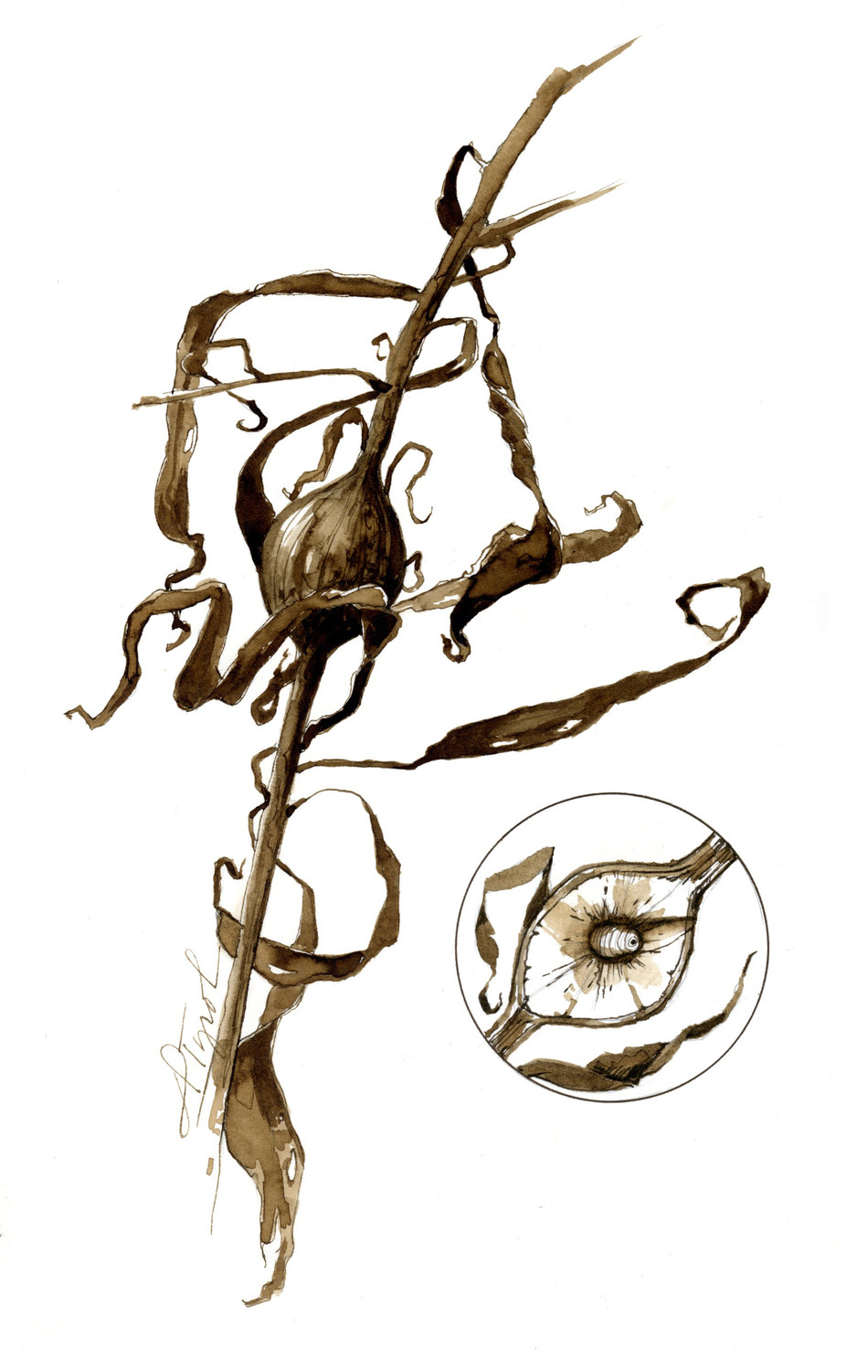 926x1499 Goldenrod Golf Balls The Berkshire Eagle Pittsfield Breaking