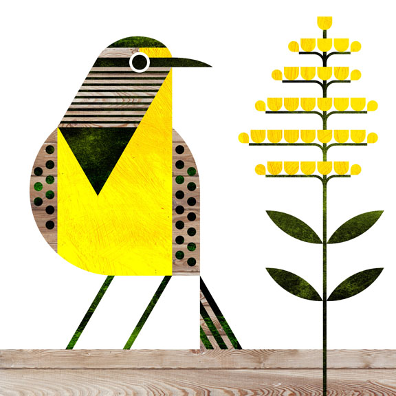 576x576 scott partridge