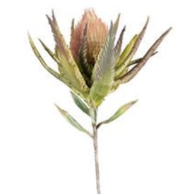 262x276 Botanica Flowers