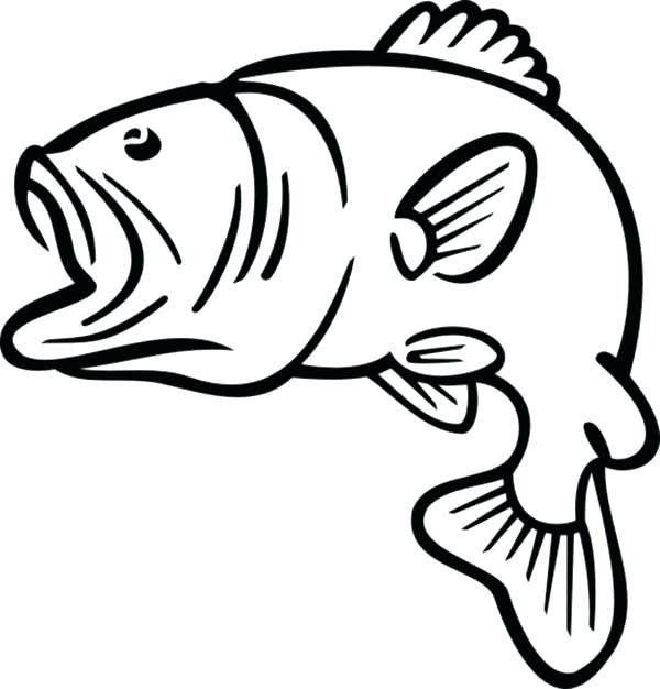 600x626 Goldfish Bowl Outline Free Coloring Pages Portfolio Stock Photos