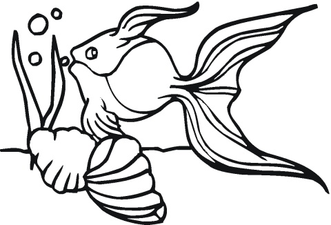 480x326 Goldfish Fish Bowl Coloring