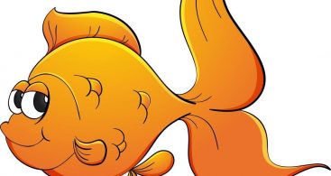 367x195 Force Vector Drawing On A Goldfish Archives