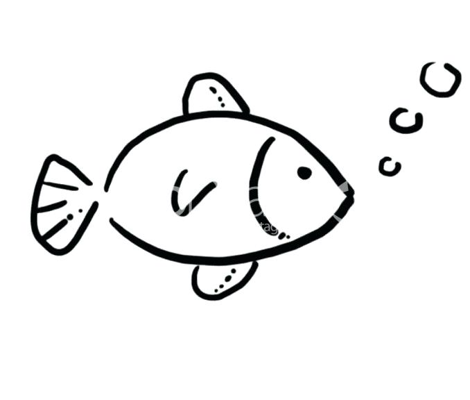 678x576 Simple Fish Drawing Outline Simple Goldfish Drawing