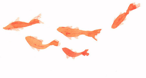 500x266 Drawing Art Watercolor Fish Paint Goldfish Messylittleraindropz