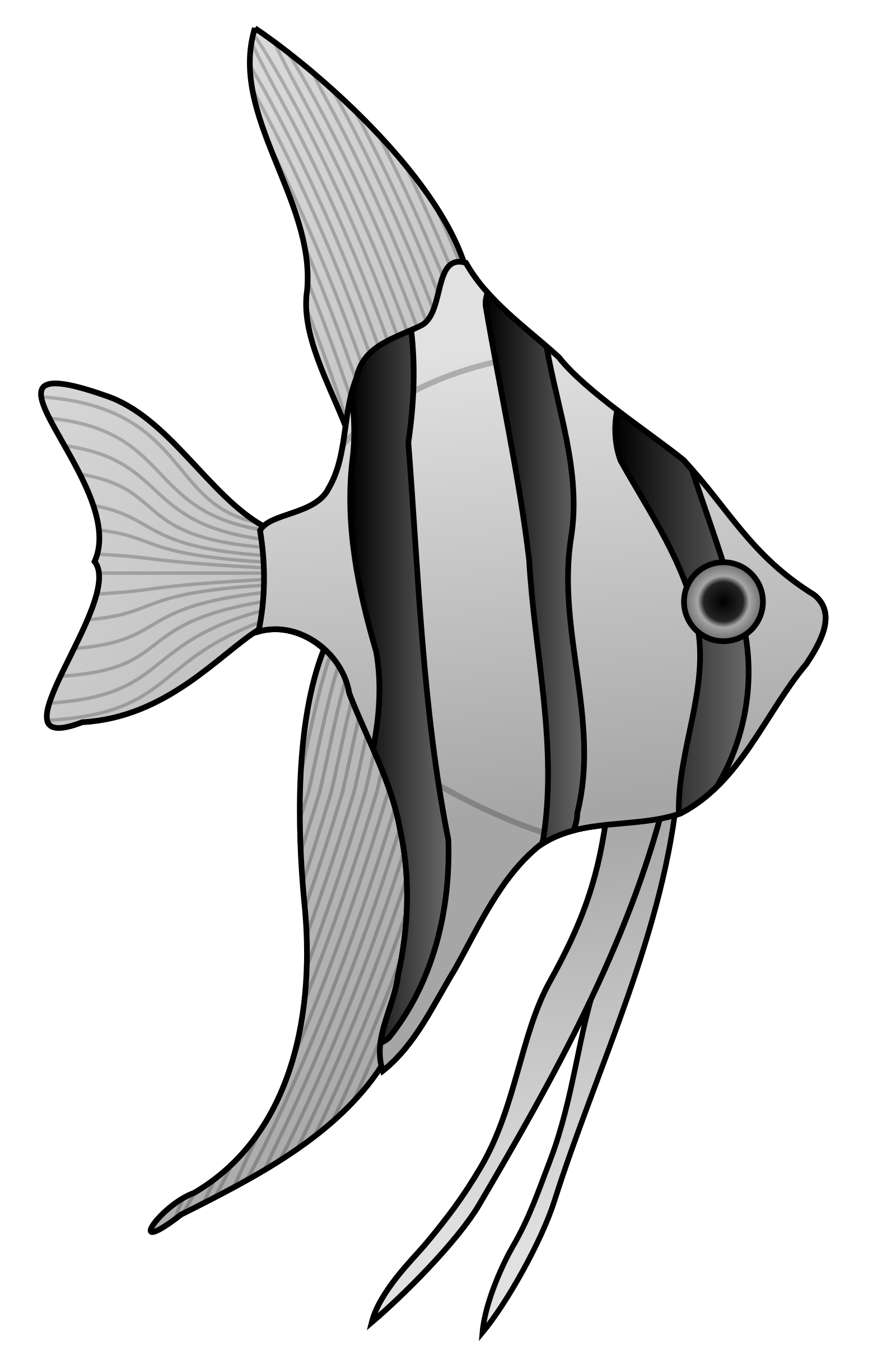 1600x2400 Collection Of Free Goldfish Drawing Pen Download On Ui Ex