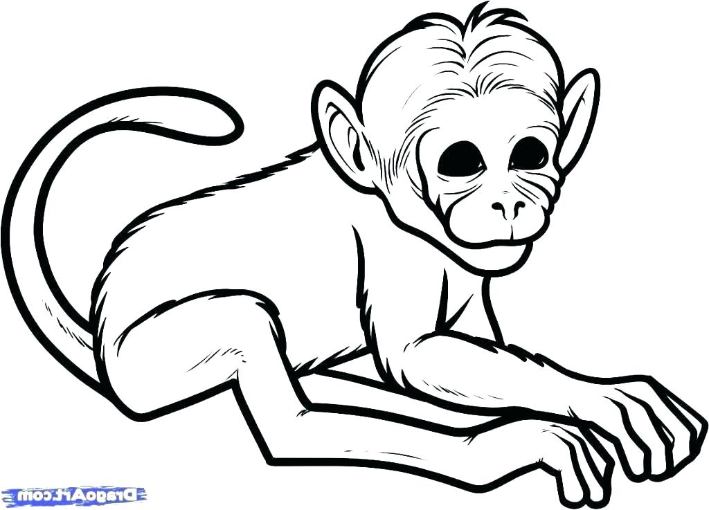 1024x737 how to draw monkeys draw monkeys easy