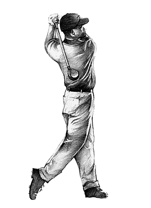 508x700 Golfer Drawing Sketch Transparent Png Clipart Free Download