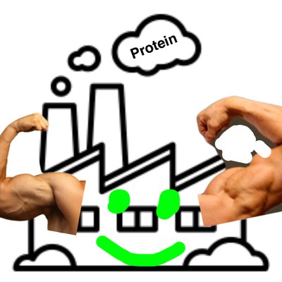 400x400 golgi apparatus