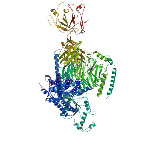 500x500 Opsd Human Cancer