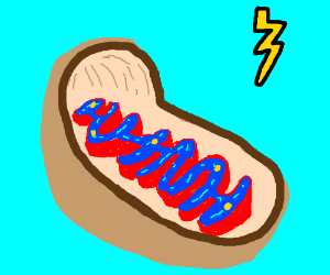 300x250 Pio Fav Organelle