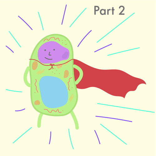 500x500 Part What's Your