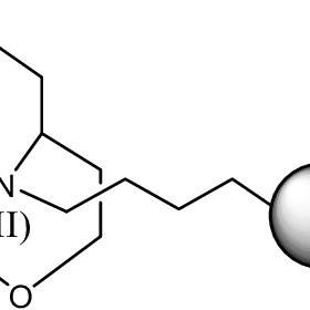 280x280 Protein Tyrosine Sulfation