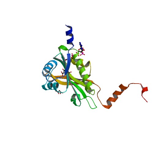 500x500 rcsb pdb