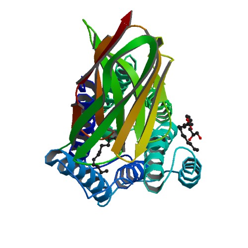 500x500 rcsb pdb