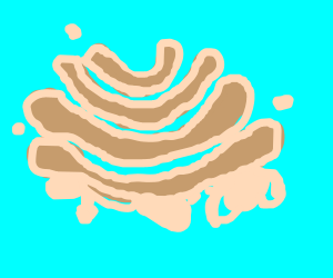 300x250 the golgi apparatus