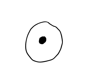 352x335 Collection Of Free Cell Drawing Cartoon Download On Ui Ex