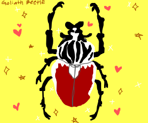 300x250 Goliath Beetle
