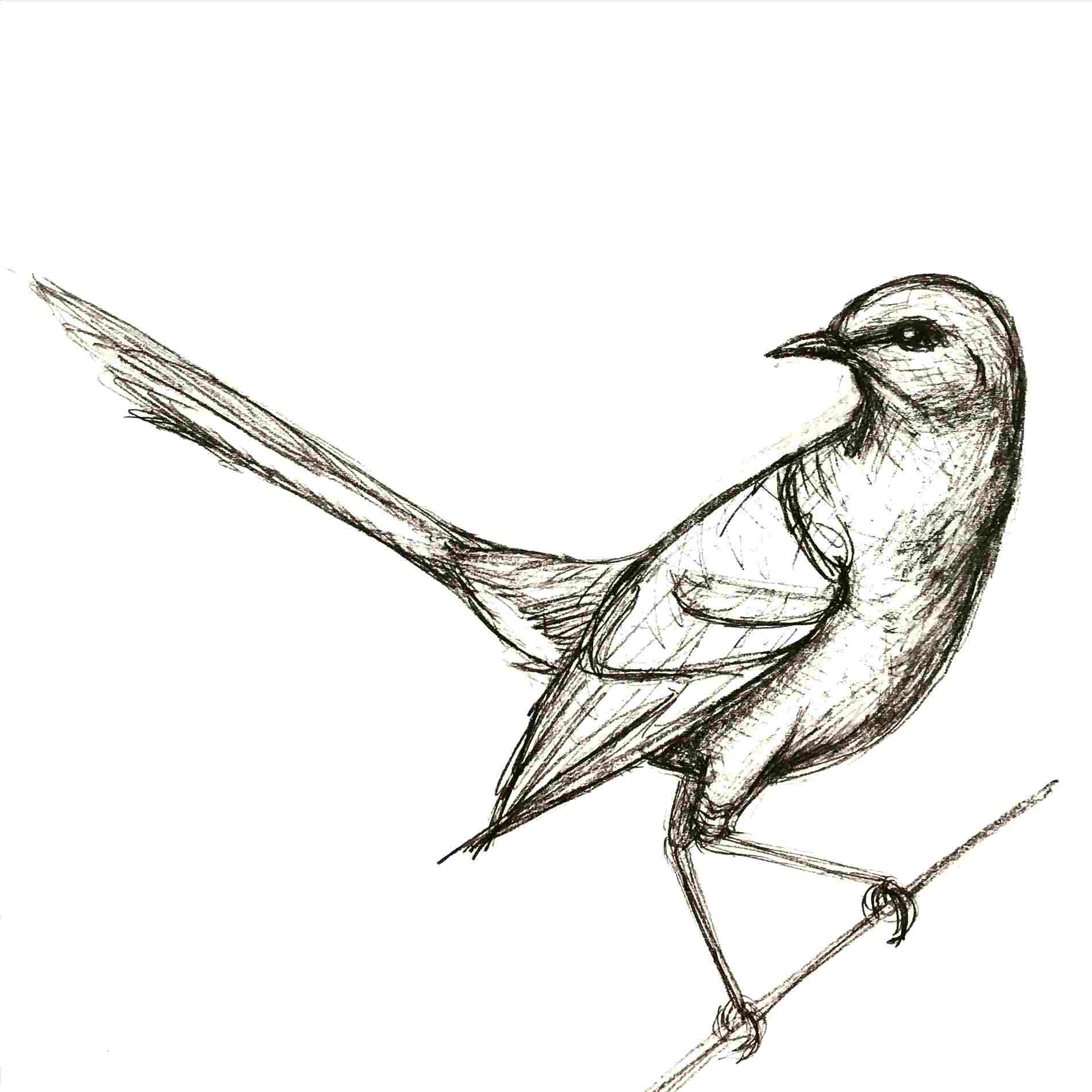 1900x1900 Drawing Ideas For Teenagers Fashionnewstips Club