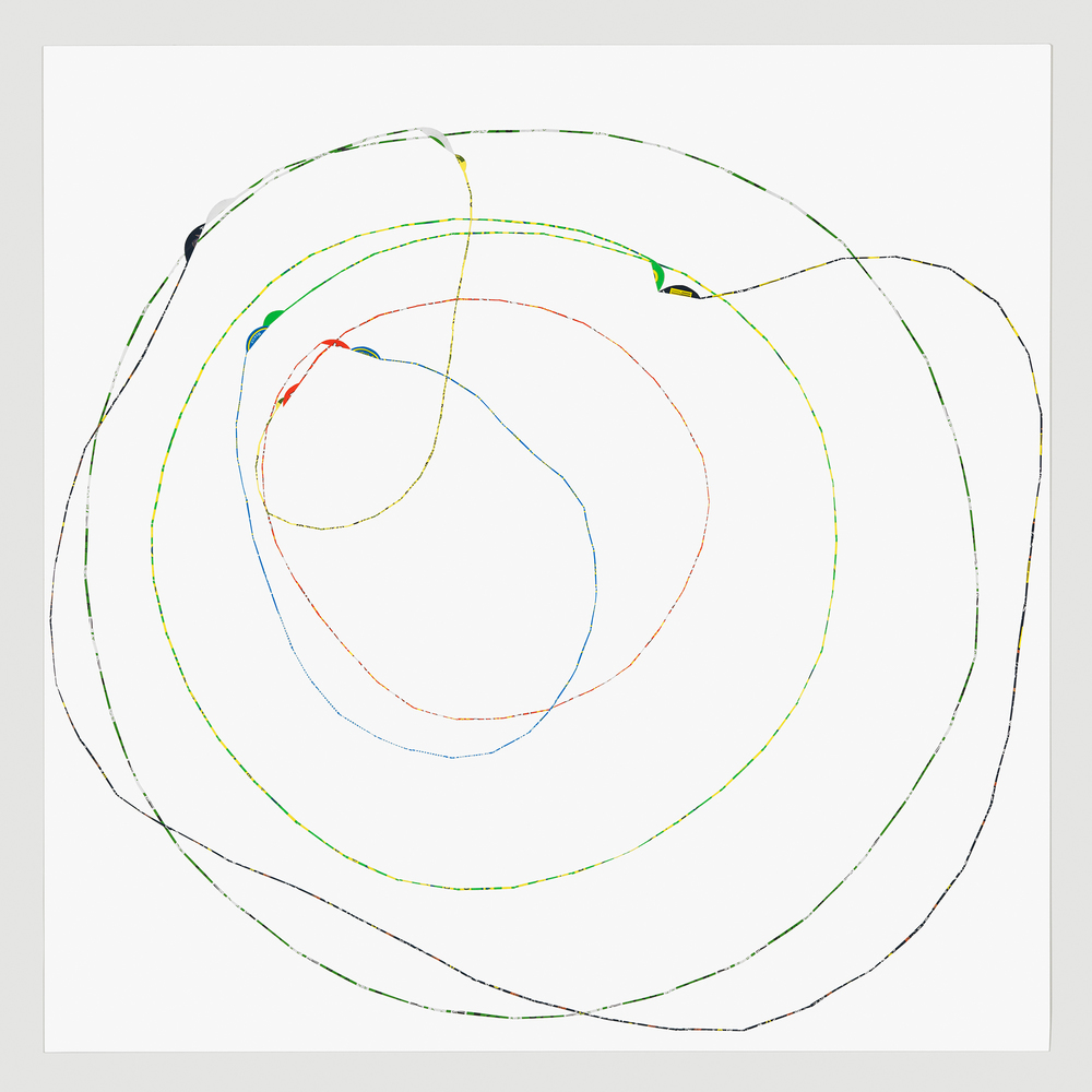 1000x1000 fruit sticker drawings rachel perry