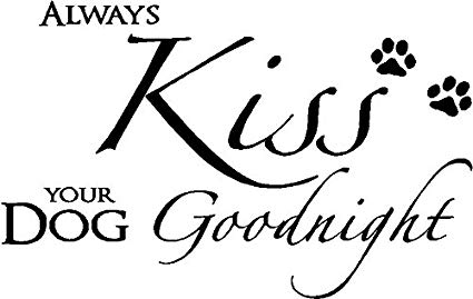 425x269 epic designs always kiss your dog goodnight cute