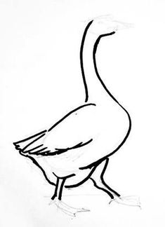Goose Drawing
