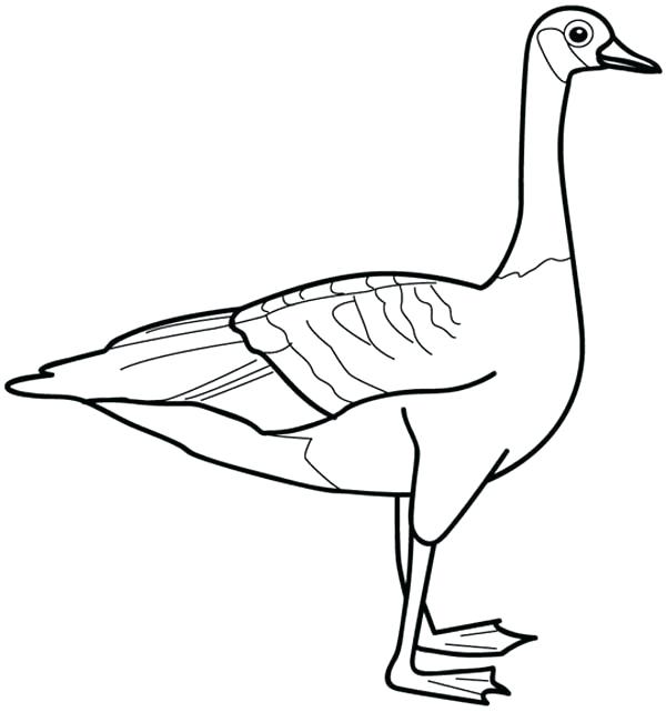 Goose Drawing | Free download on ClipArtMag