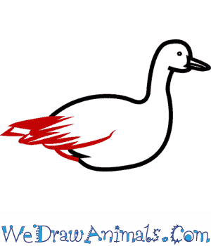 300x350 How To Draw A Snow Goose