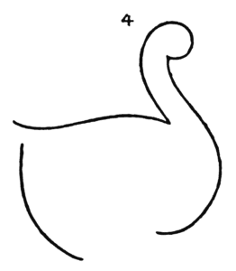 262x300 How To Draw A Goose Step