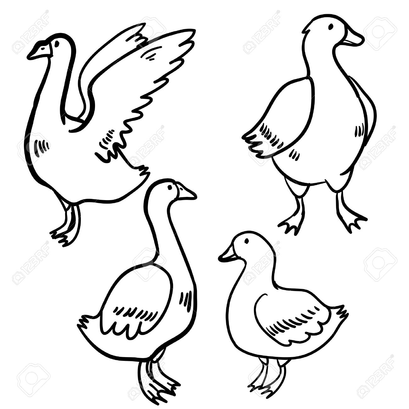 1300x1300 Huge Collection Of 'geese Drawing' Download More Than Images