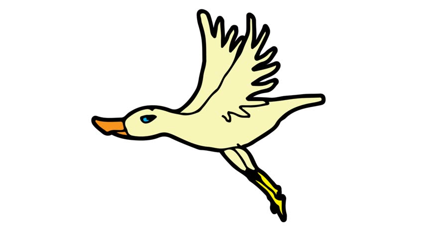 852x480 White Goose Drawing Stock Video Footage